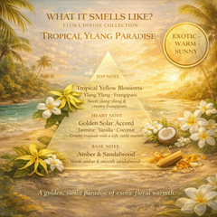 ARWA Essential Tropical Ylang Paradise fragrance notes pyramid - top note tropical yellow blossoms ylang ylang and frangipani, heart note golden solar accord jasmine vanilla and coconut, base note amber and sandalwood, exotic warm sunny, Flora Divine Collection