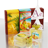 Luxe Citrus Breeze + Tropical Fruit Fusion Car Perfume Spray | 50ml x 2