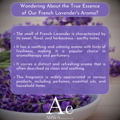 Description of ARWA Essential French Lavender aroma - sweet floral herbaceous earthy notes, soothing calming aroma popular in aromatherapy and perfumery