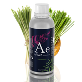 ARWA essential Lemongrass Aroma Oil 1L for diffuser and home fragrance with fresh lemongrass stalks