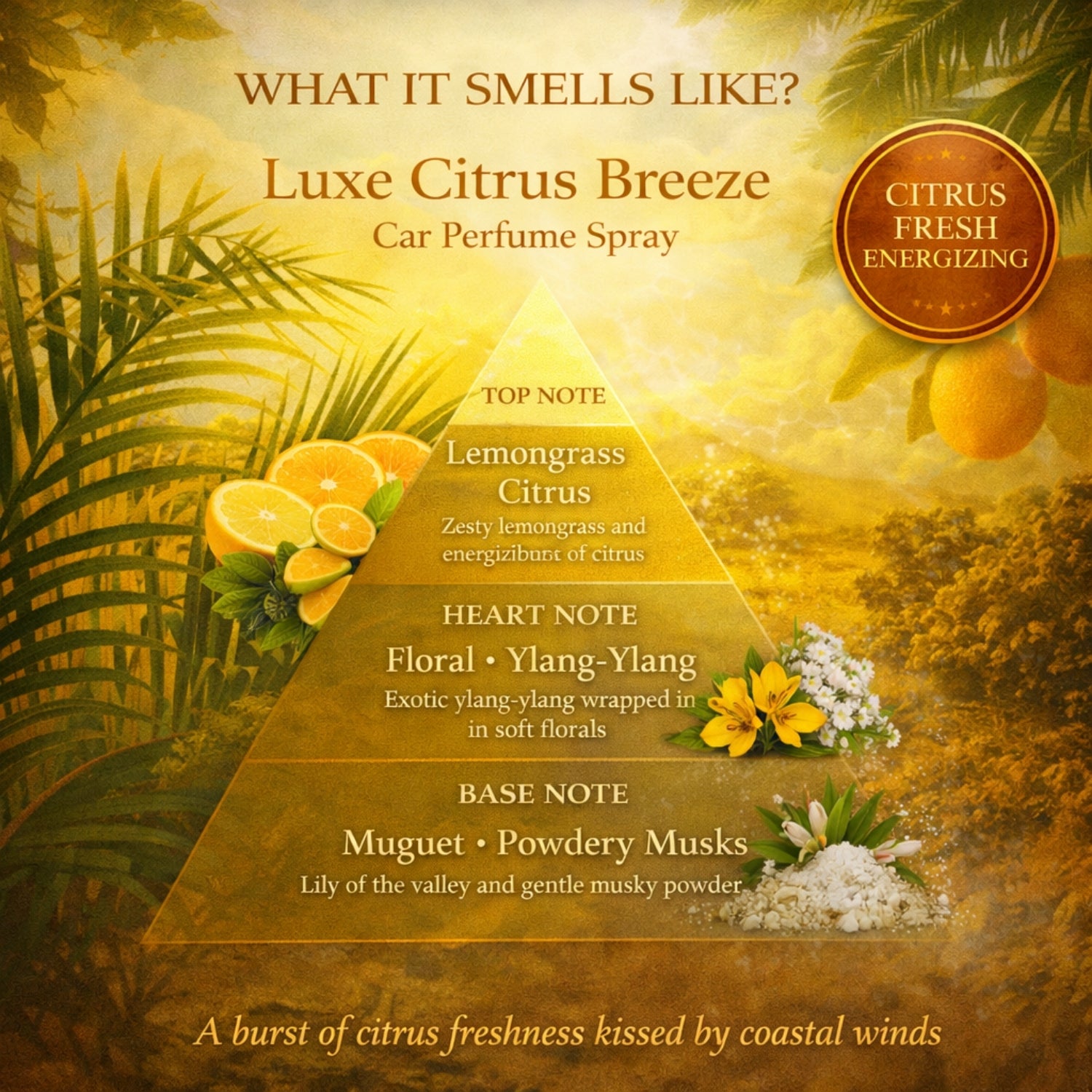 Luxe Citrus Breeze Car Perfume Spray | 50ml