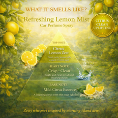 Lemon Mist Hanging Car Perfume 10ml + Tropical Fruit Fusion Car Perfume Spray 50ml