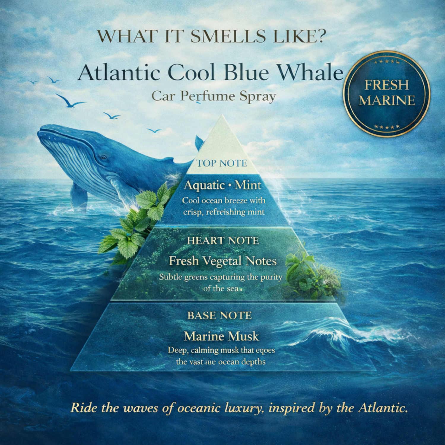 Atlantic Cool Blue Whale Hanging Car Perfume | 10ml