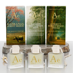 Amazon Eucalyptus Mist + Kaziranga Forest Breeze + Corbett Forestwood Dream Hanging Car Perfume | 10ml Each