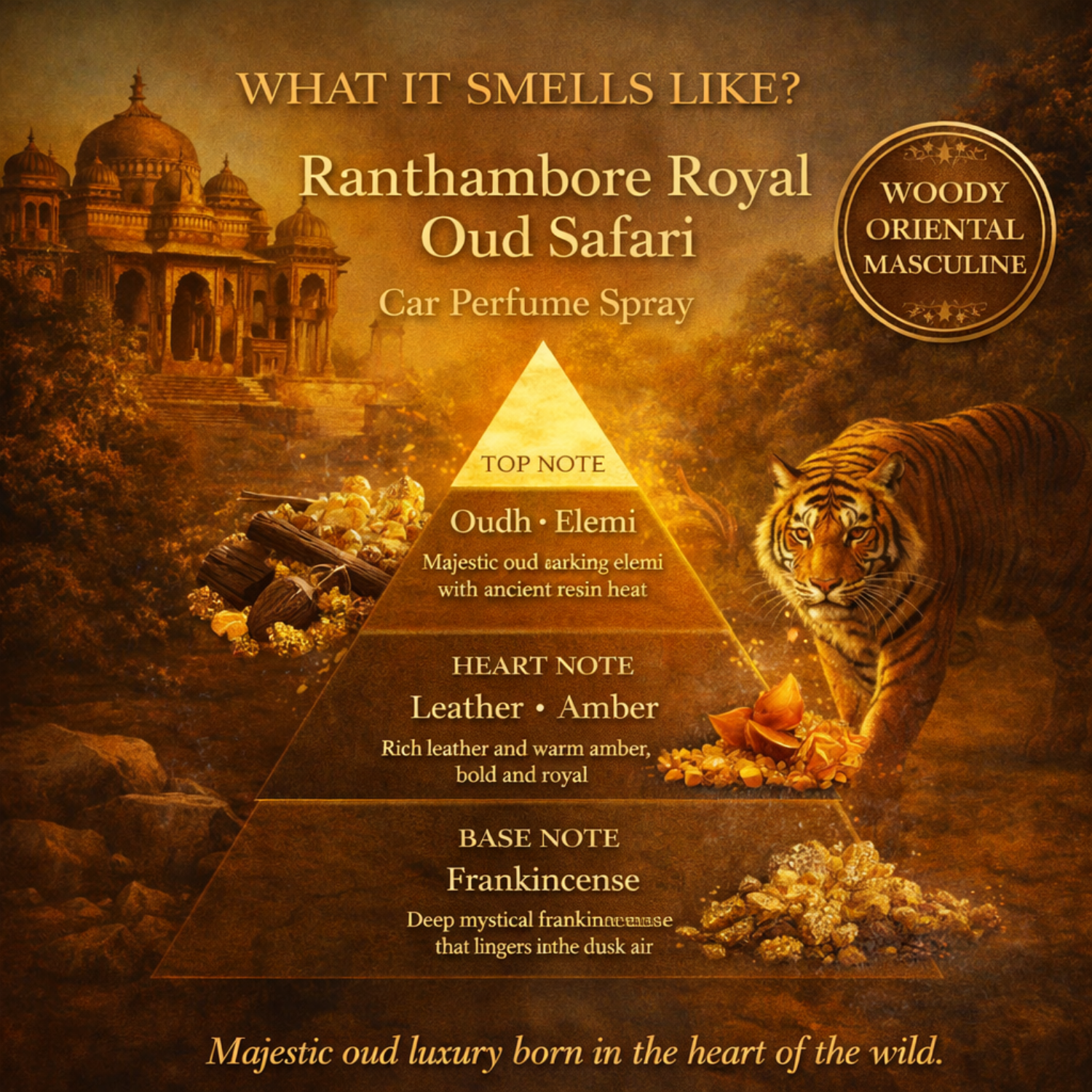 Ranthambore Royal Oud Safari Car Perfume Spray fragrance pyramid – what it smells like: top note oudh and elemi, heart note leather and amber, base note frankincense; tagged woody, oriental, masculine; Majestic oud luxury born in the heart of the wild