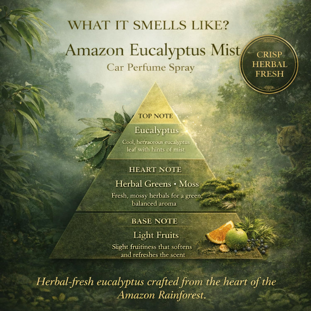 Amazon Eucalyptus Mist Car Perfume Spray fragrance pyramid – what it smells like: top note eucalyptus, heart note herbal greens and moss, base note light fruits; tagged crisp, herbal, fresh; Herbal-fresh eucalyptus crafted from the heart of the Amazon Rainforest