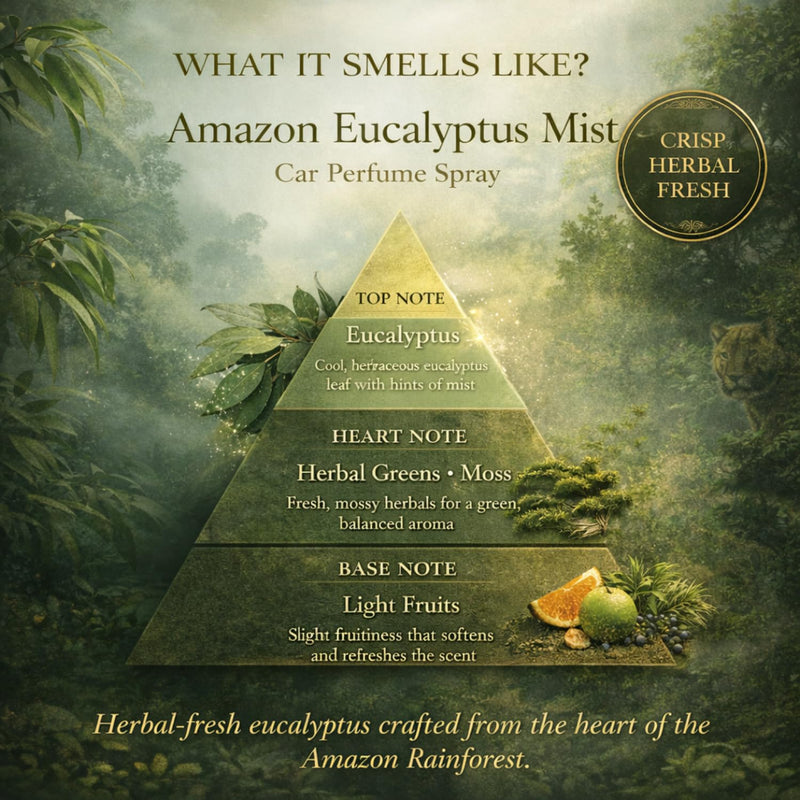 Amazon Eucalyptus Mist fragrance pyramid - ARWA Essential car perfume spray notes and scent profile