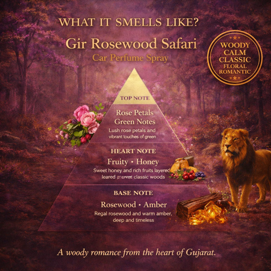 Gir Rosewood Safari + Masai Mara Amber Safari + Tadoba Sandalwood Safari