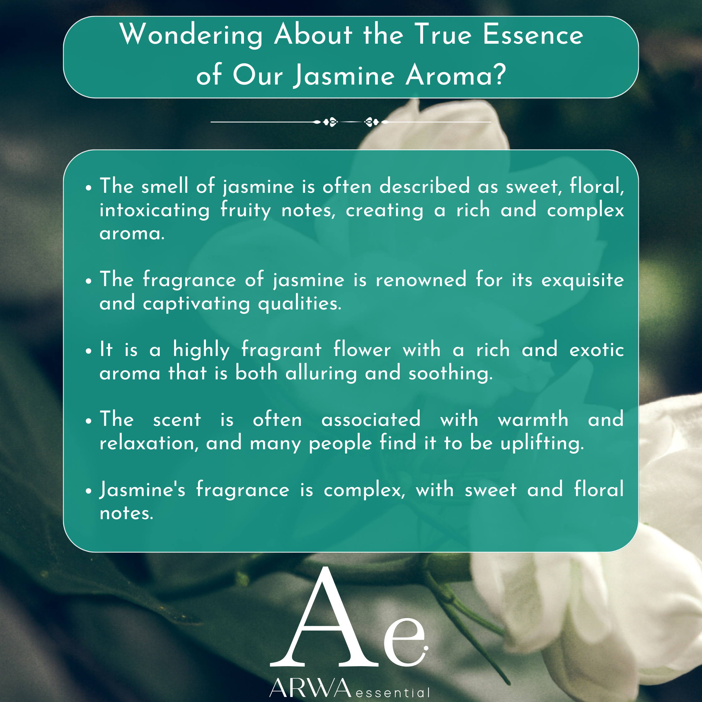 ARWA essential Jasmine Aroma Oil fragrance profile with sweet floral, fruity and exotic jasmine aroma notes