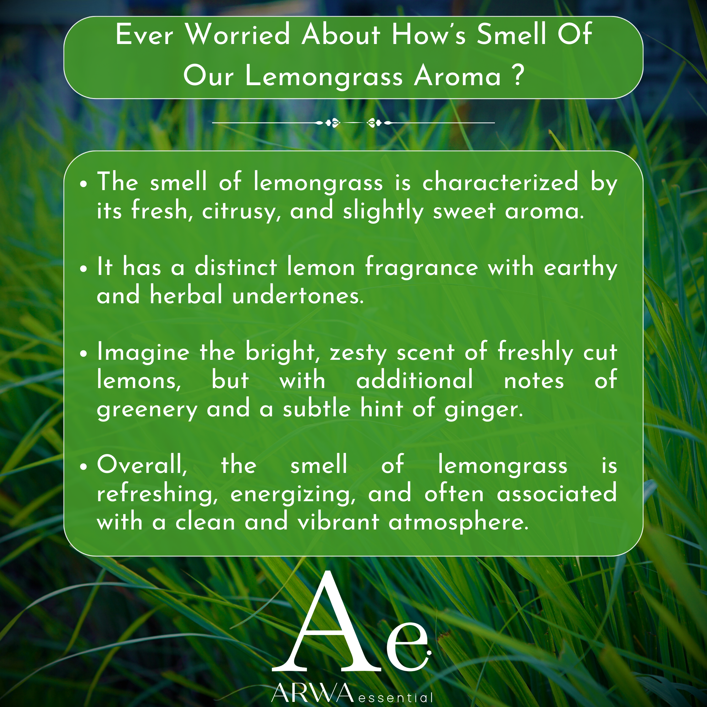 ARWA essential Lemongrass Aroma Oil fragrance profile with fresh citrus, lemon, herbal and slightly sweet aroma notes