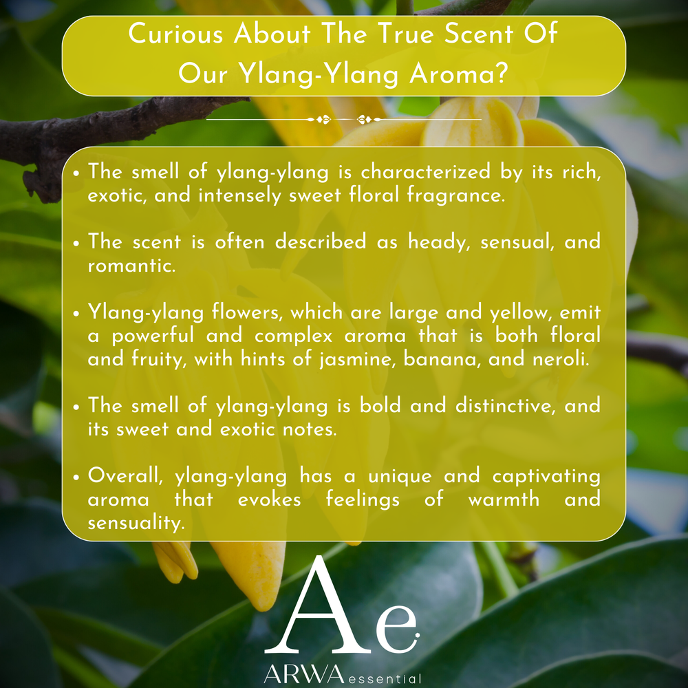 ARWA essential Ylang Ylang Aroma Oil fragrance profile with rich, exotic, sweet floral and fruity aroma notes