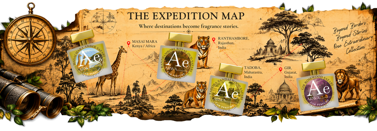 THE EXPEDITION MAP
